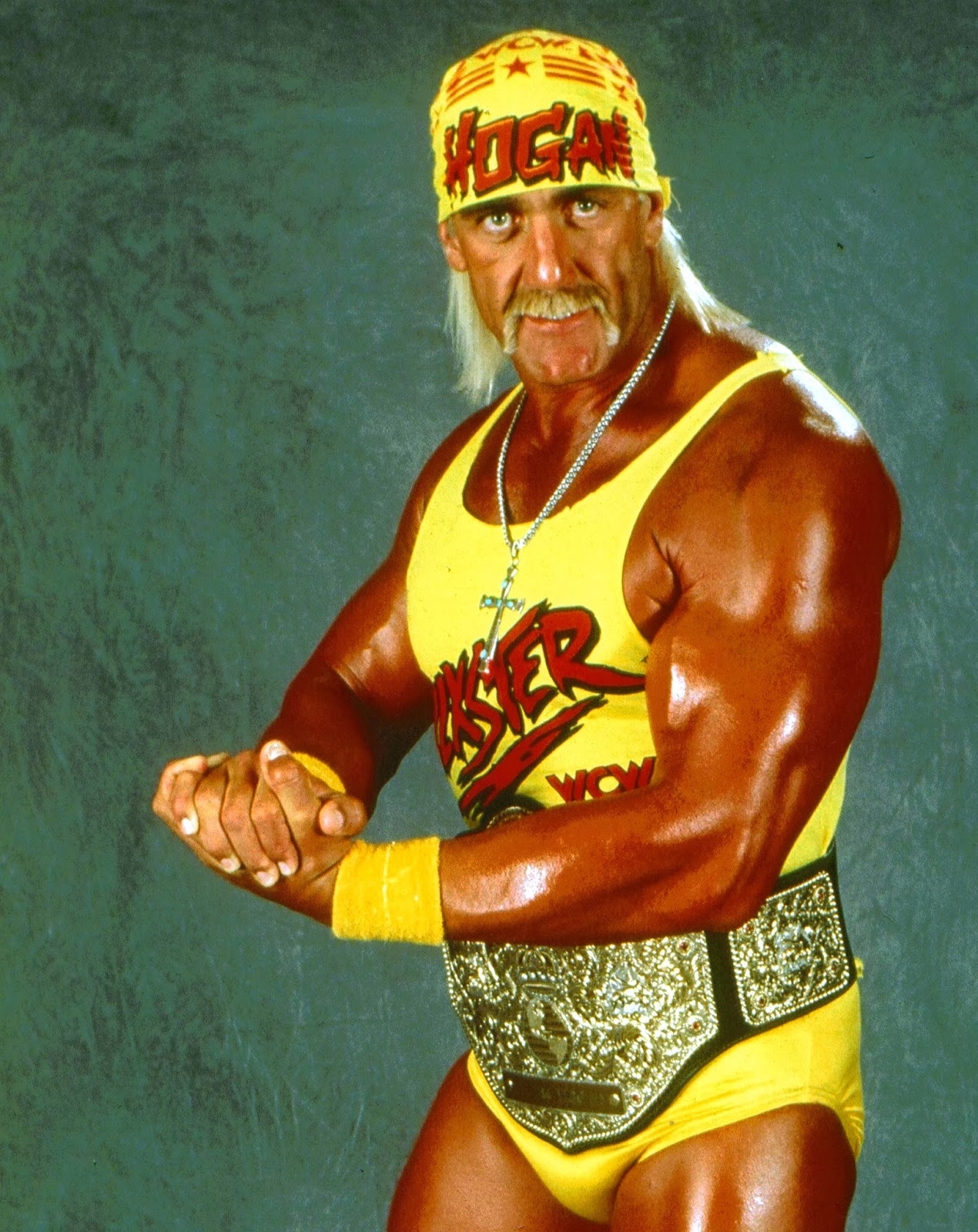 Hulk Hogan Returns To WWE